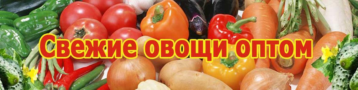 Купить Овощи Оптом Цена