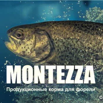 Продукционные корма для рыб MONTEZZA, корм для форели