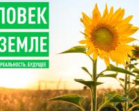 Почему успешные люди уезжают жить в деревню