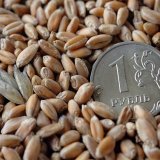 Продукция сельского хозяйства получит господдержку