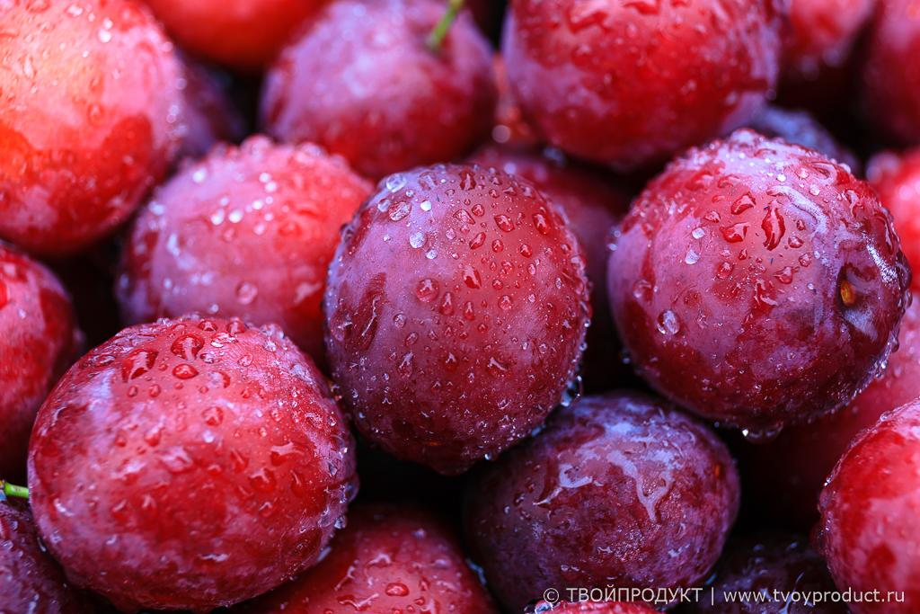 ТВОЙПРОДУКТ: Уникальный питомник растений в Одоевском районе Тульской области