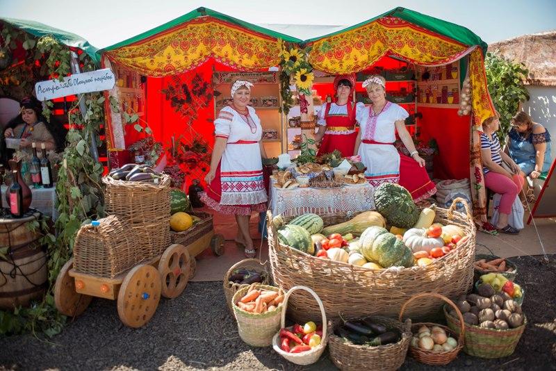 Новости ТВОЙПРОДУКТ: Волгоградские овощеводы обменялись опытом в рамках Дня поля